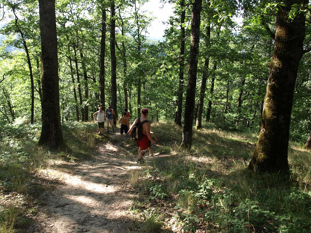 p7240863.jpg - visszavonulás.