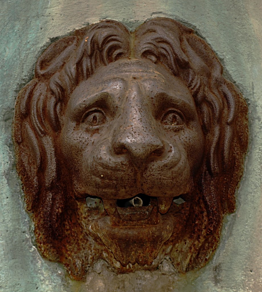 202.JPG - Vasoroszlán.