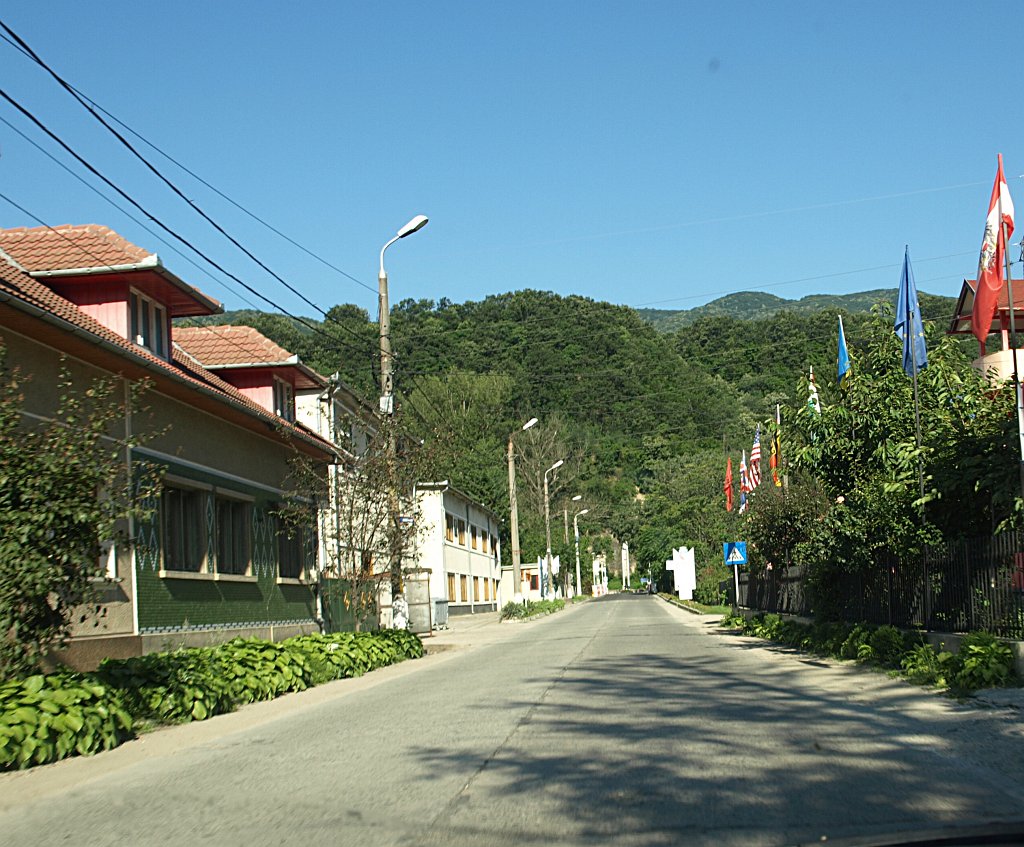 50.jpg - Búcsú Herkulesfürdőtől.